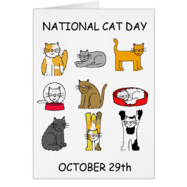 National Cat Day 29. Oktober