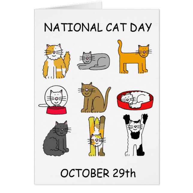 National Cat Day 29. Oktober (Vorne)