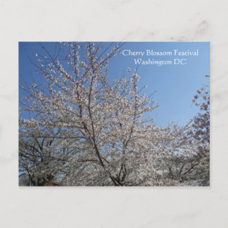 National Cherry Blossom Festival Washington DC 200 Postkarte