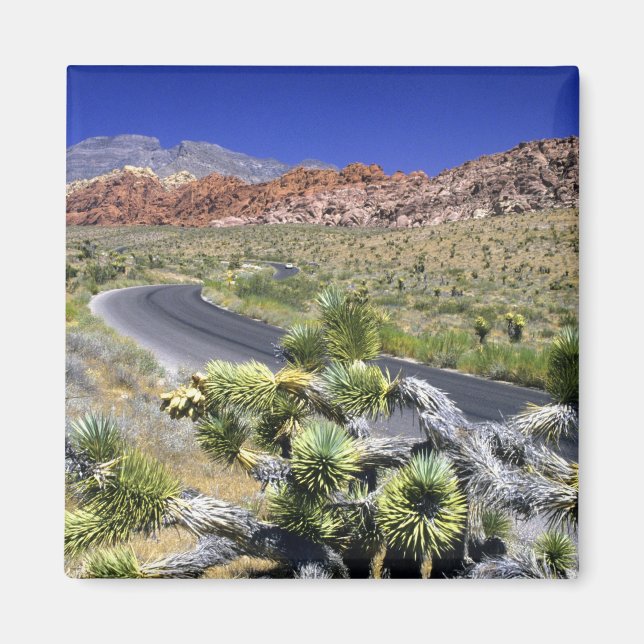 National Conservation Area, Las Rock Canyon Magnet (Vorne)