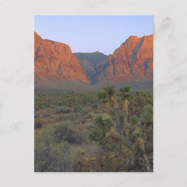 National Conservation Area Red Rock Canyon Postkarte (Vorderseite)