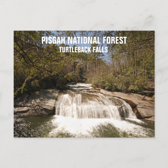 National Forest North Carolina Wasserfall Pisgah Postkarte (Vorderseite)