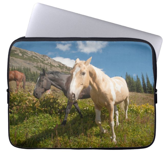 National Park North Cascades Laptopschutzhülle (Vorderseite)