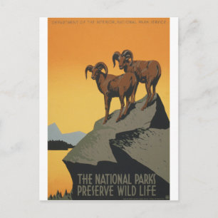 National Parks - Wildlife Preserve Postkarte