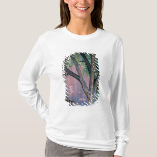 National Recreation Area Glen Canyon, Utah. USA. T-Shirt