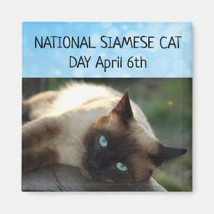 National Siamese Cat Day 6. April Magnet
