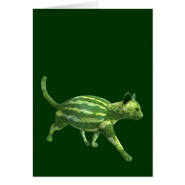 National Watermelon Day Cat (Vorne)