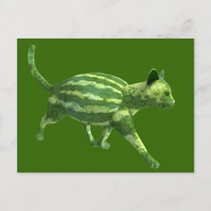 National Watermelon Day Cat Postkarte