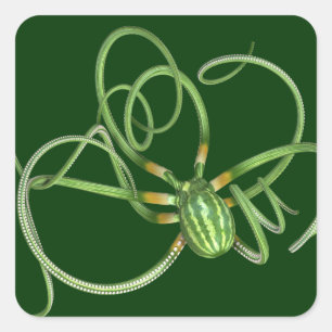 National Watermelon Day Octopus Quadratischer Aufkleber