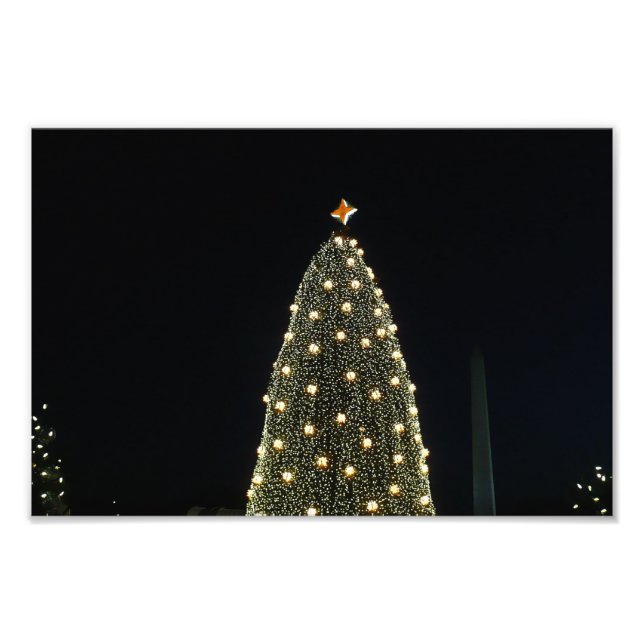National Xmas Tree & Washington Monument at Night Fotodruck (Vorne)