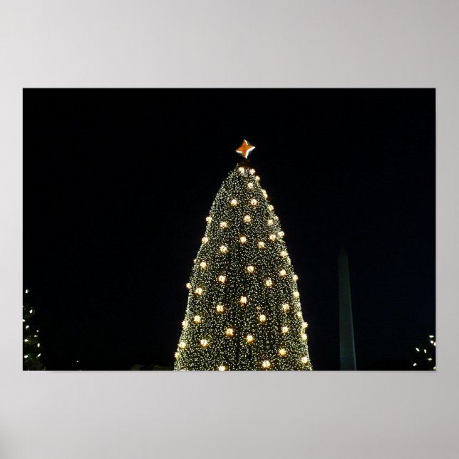 National Xmas Tree & Washington Monument at Night Poster (Vorne)
