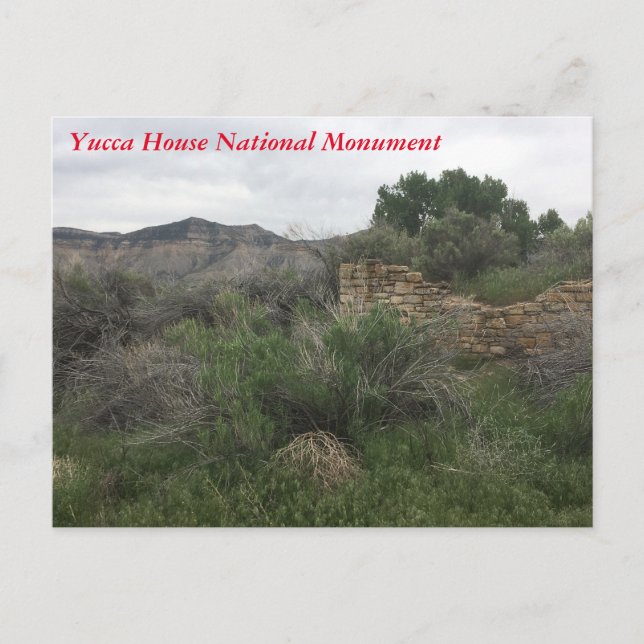 Nationaldenkmal des Yucca House Postkarte (Vorderseite)