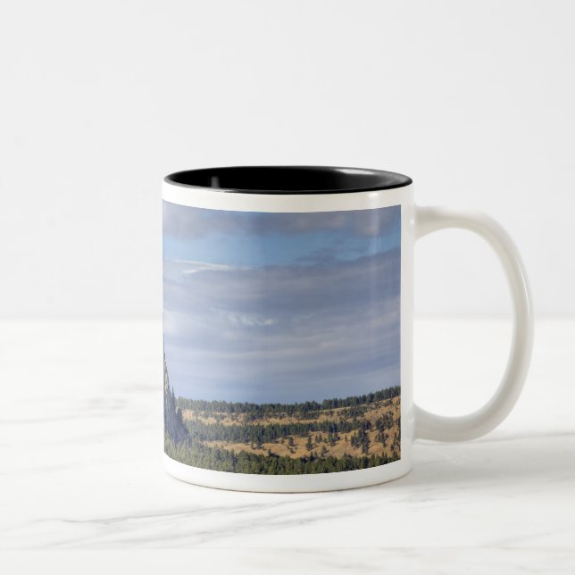 Nationaldenkmal von Devils Tower Zweifarbige Tasse (Rechts)