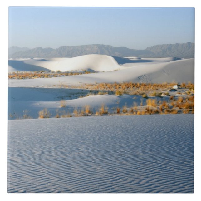 Nationaldenkmal weißer Sand, transversale Dünen Fliese (Vorderseite)