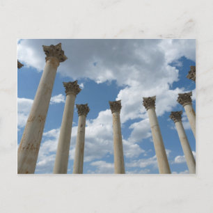 Nationale Arboretum-Spalten-Postkarte Postkarte