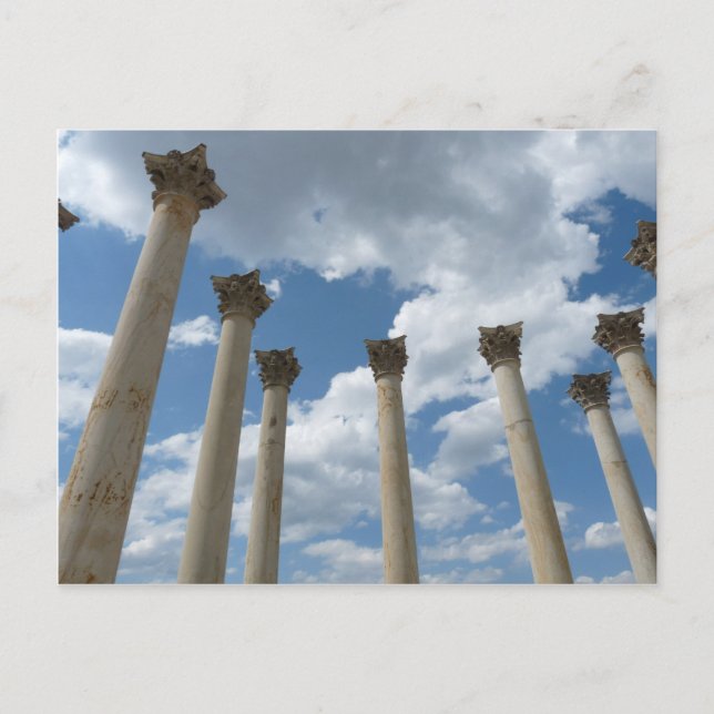 Nationale Arboretum-Spalten-Postkarte Postkarte (Vorderseite)