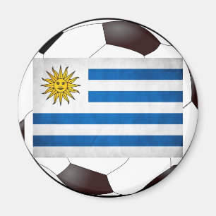 Nationale Flagge Uruguays Magnet