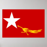 Nationale Liga für Demokratie, Flagge Myanmars