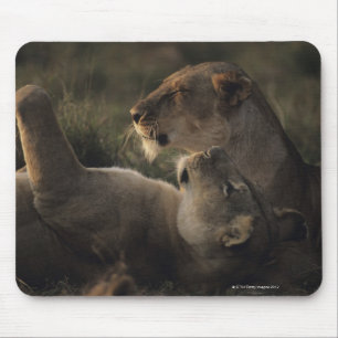 Nationale Reserve 7 Masai-Maras Mousepad
