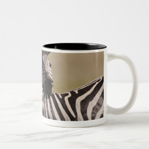 Nationale Reserve Masai-Maras, Kenia, 3 im Juli Zweifarbige Tasse
