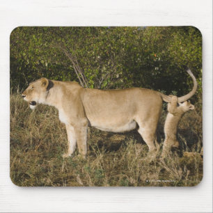 Nationale Reserve Masai-Maras, Kenia Mousepad