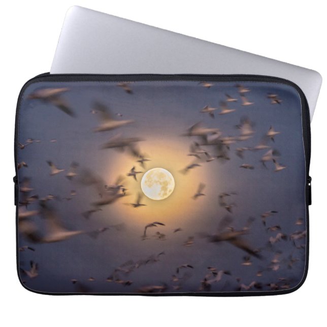 Nationale Schutzhütte Bosque del Apache Laptopschutzhülle (Vorderseite)