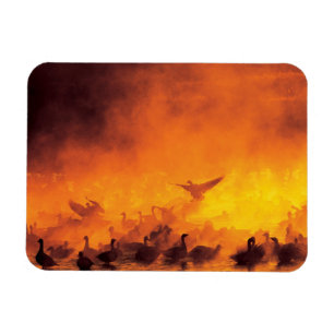 Nationale Schutzhütte Bosque del Apache, NM Magnet