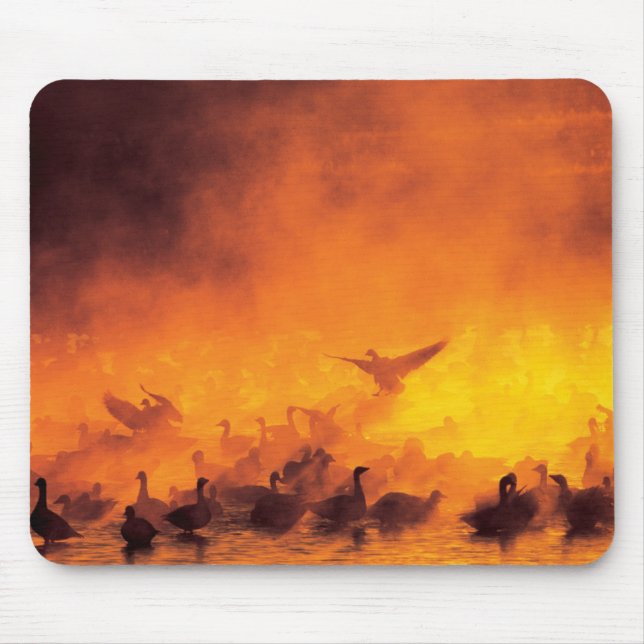 Nationale Schutzhütte Bosque del Apache, NM Mousepad (Vorne)