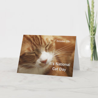 Nationaler Katzentag 29. Oktober Karte