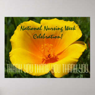 Nationaler Pflegwoche-Feierposter Danke Poster
