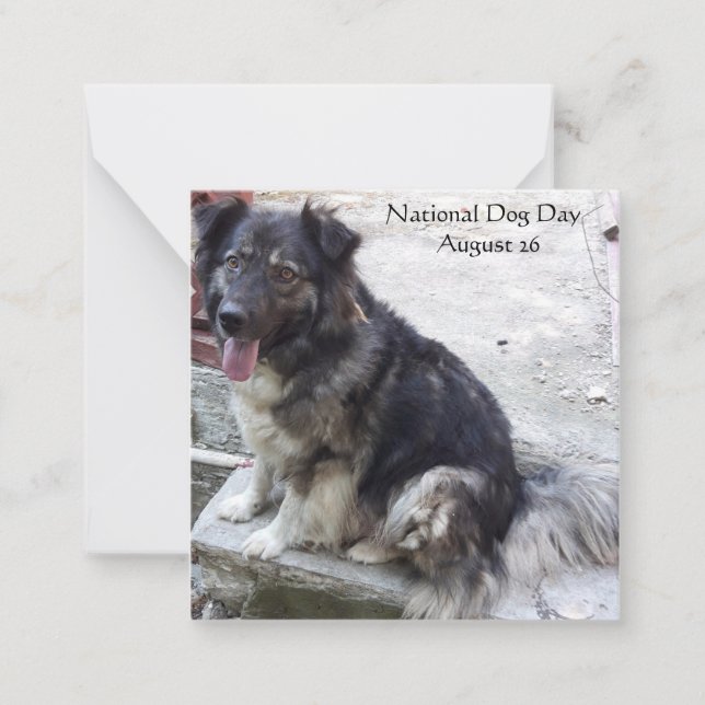 Nationaler Tag der Hunde Mitteilungskarte (Vorderseite)
