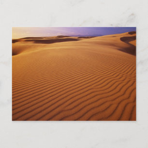 Nationales Erholungsgebiet Oregon Dunes, Oregon Postkarte