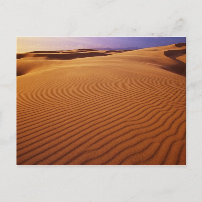 Nationales Erholungsgebiet Oregon Dunes, Oregon Postkarte (Vorderseite)