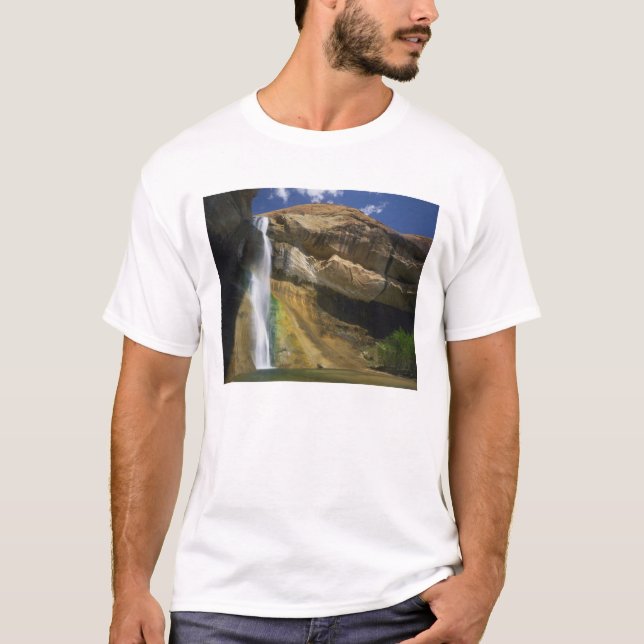 NATIONALES MONUMENT DER GRAND STAIRCASE ESCALANTE, T-Shirt (Vorderseite)
