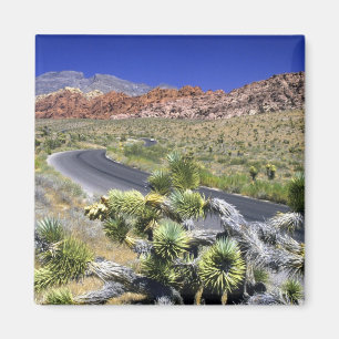 Nationales Schutzgebiet des Rock Canyon, Las Magnet