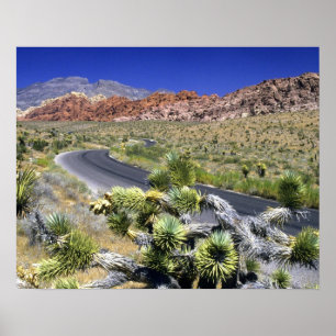 Nationales Schutzgebiet des Rock Canyon, Las Poster