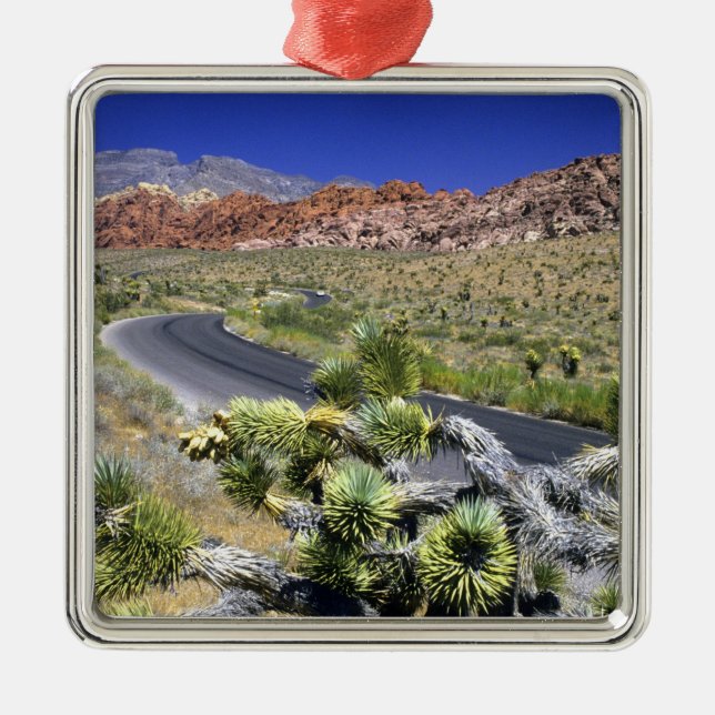 Nationales Schutzgebiet des Rock Canyon, Las Silbernes Ornament (Vorne)