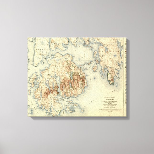 Nationalpark Acadia Topographische Panoramakarte Leinwanddruck (Vorderseite)