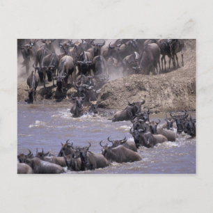 Nationalpark Afrikas, Kenia, Masai-Mara Postkarte