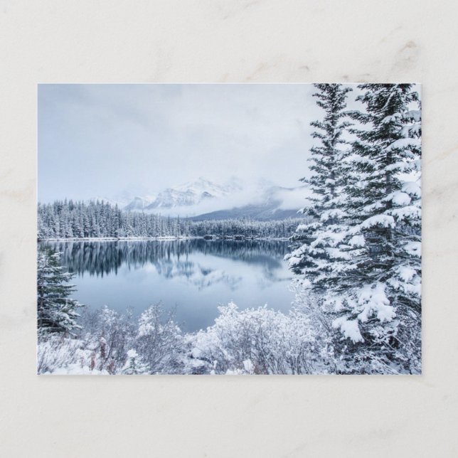 Nationalpark Banff im Winter Postkarte (Vorderseite)