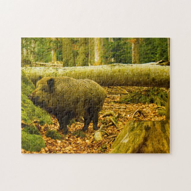 Nationalpark Bayrischerwaldaw Bayern Deutschland. (Horizontal)