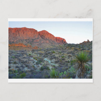 Nationalpark Big Bend Postkarte