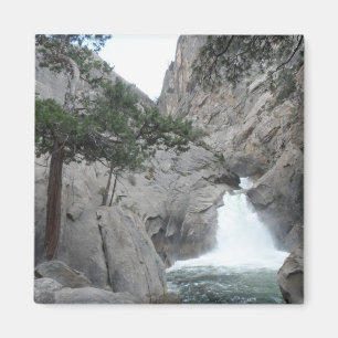 Nationalpark Brüllenfluss-Fall-König-Canyon Magnet