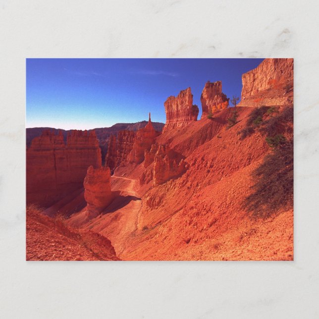 Nationalpark Bryce Canyon Postkarte (Vorderseite)