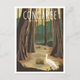 Nationalpark Congaree Süd Carolina Postkarte