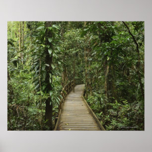 Nationalpark Daintree (UNESCO Welterbe 2 Poster