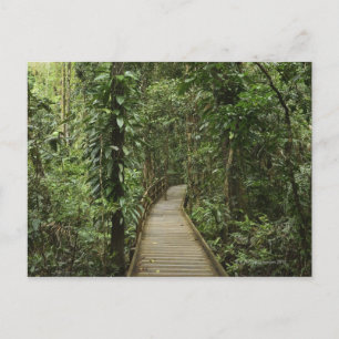 Nationalpark Daintree (UNESCO Welterbe 2 Postkarte