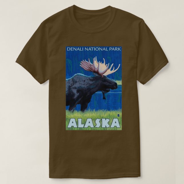 Nationalpark Denali Alaska Vintage Reise T-Shirt (Design vorne)