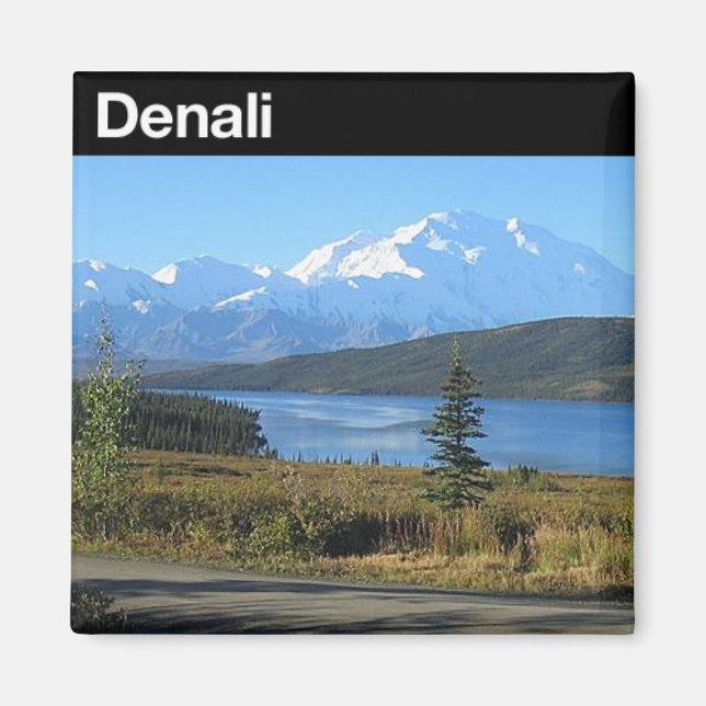 Nationalpark Denali Magnet (Vorne)