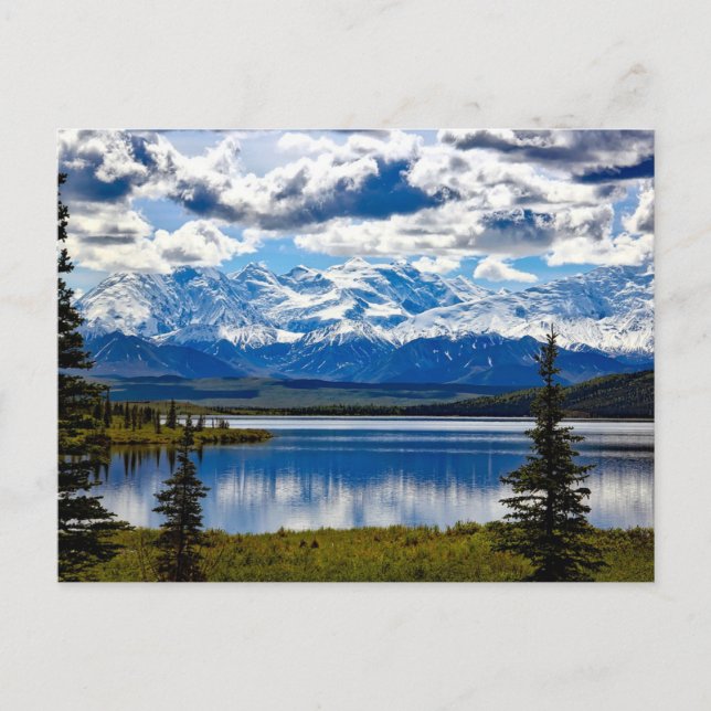 Nationalpark Denali Postkarte (Vorderseite)